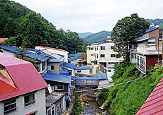 湯川温泉 新清館の写真1