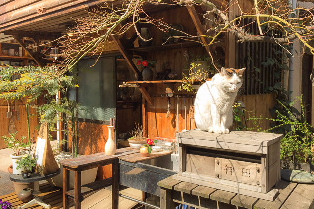 川崎の陶芸教室 かんだ手づくり工房の写真1