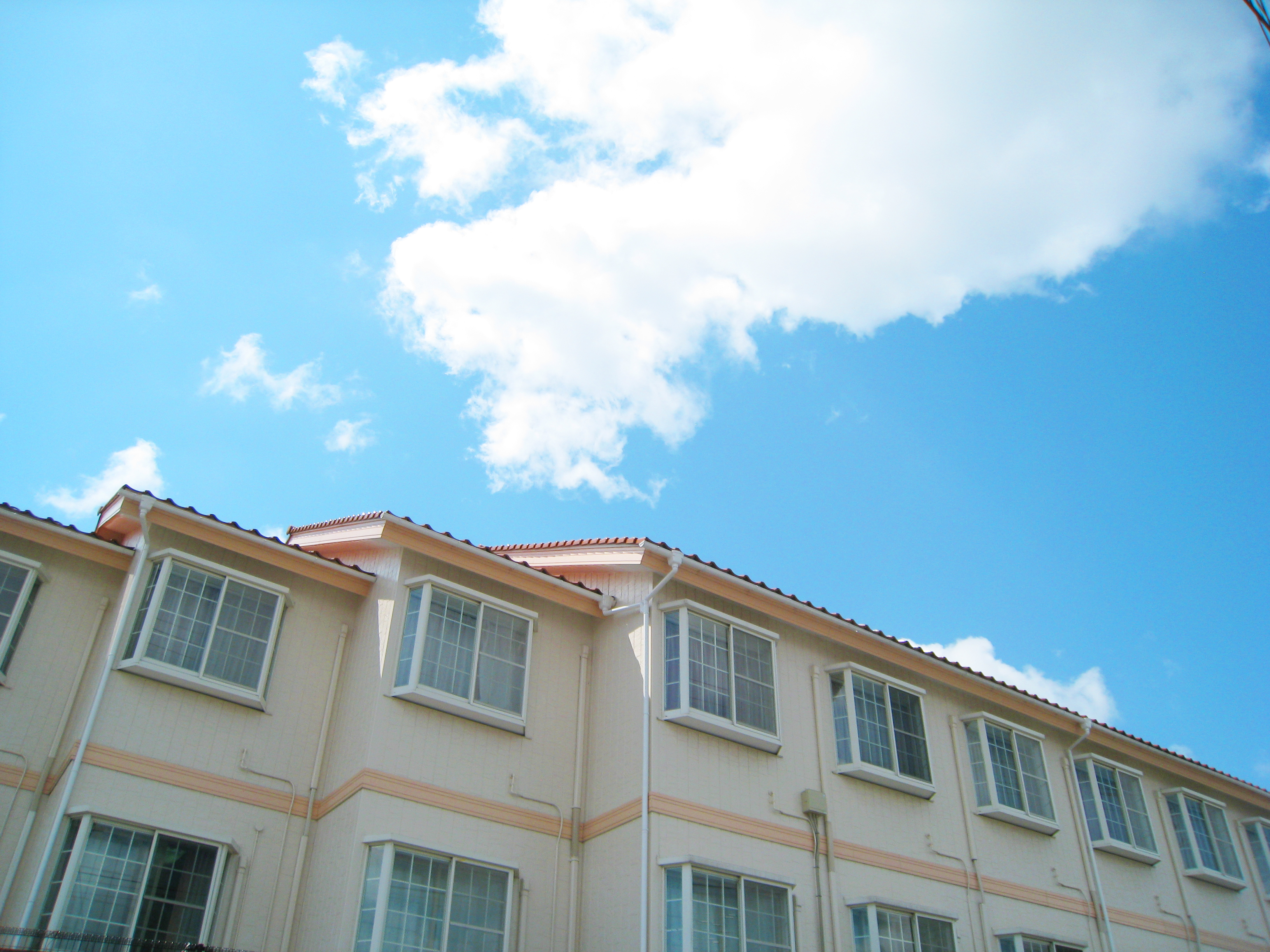 ホテルパシフィックの写真1