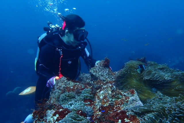 イーグルダイバースの写真1