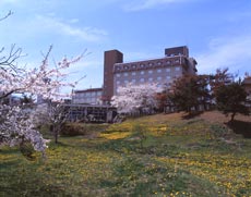 男鹿温泉 湯けむりリゾート 男鹿ホテルの写真1