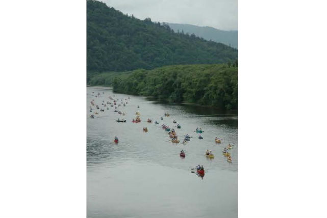 コスモスカヌー企画の写真1