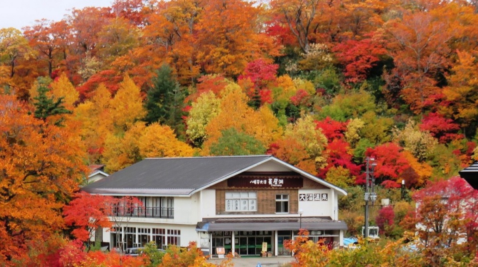 八幡平大沼茶屋湖の写真1