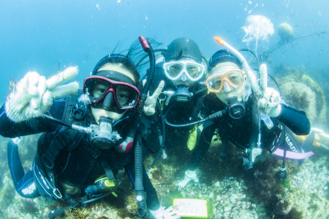 ダイビングショップNamidea Yokohamaの写真1