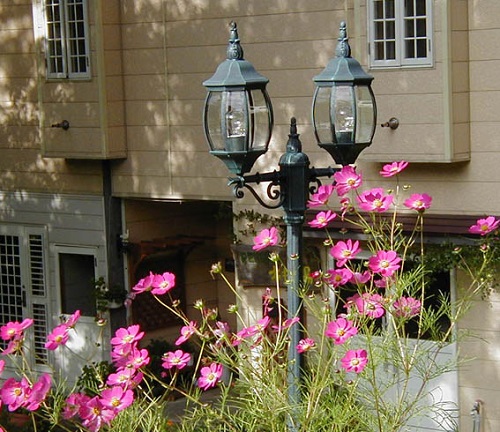 ペンション 木もれ陽の写真1