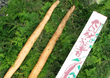 エコファーム星山の写真1