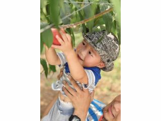 西川農園の写真1