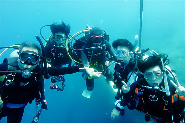 ダイビングサポート スプリングの写真1