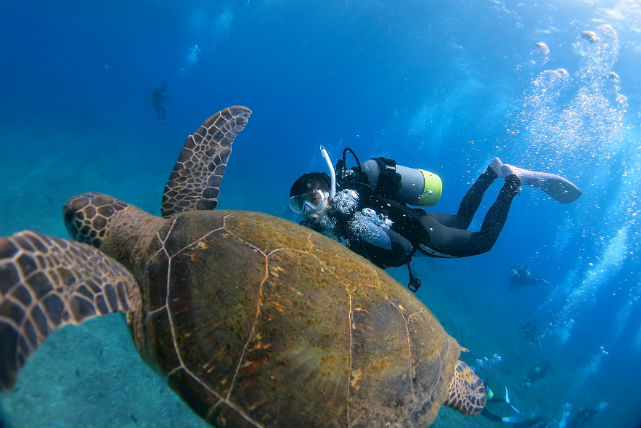 ダイビングスクールAXSYの写真1