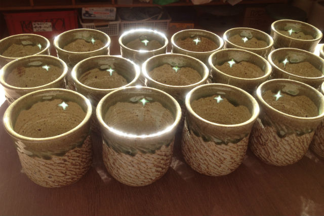 火留土工房の写真1