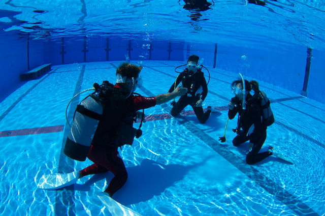 ダイビングスクール マレア横浜の写真1