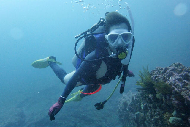 セブンシーズ相模原支店の写真1