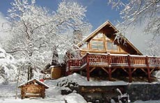 ログペンション 木輪の写真1