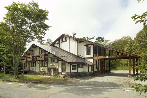 花きりんの写真1