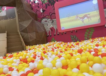 NICOPA(草加舎人店)の写真1