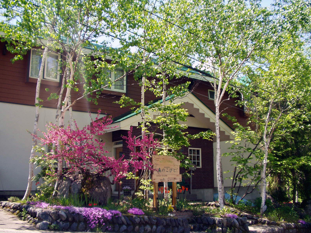 森のこびとの写真1