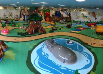 ギザギザ葉っぱ ～遊びの王国～の写真1