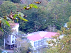 二岐温泉 大和館の写真1