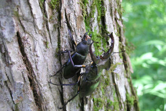 エム・ファクトリーふらのの写真1