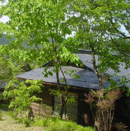 日光インの写真1