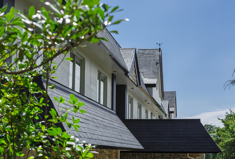 DOG SPA RESORT アルトピアーノの写真1