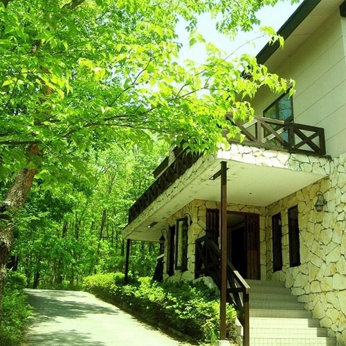 森のコテージ くるみの木の写真1