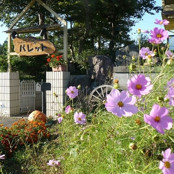 アーチストロッジ パレットの写真1