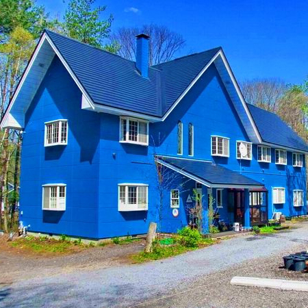 北軽井沢 ブルーベリー YGHの写真1