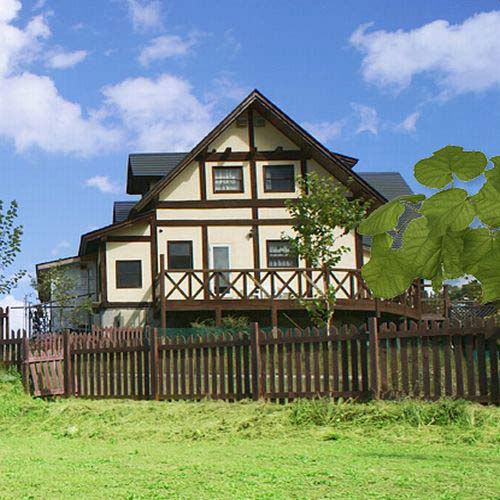 La Verduraの写真1