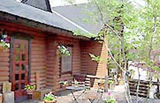 星の降る森の写真1