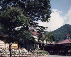 尾瀬かもしか村の写真1