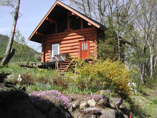 エバーグリーンの写真1