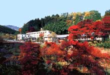 梨木温泉 梨木館の写真1