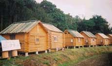 ログ キャビン ナチュレの写真1