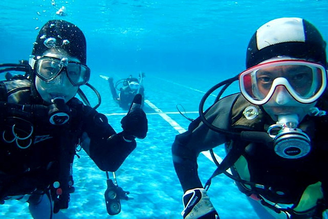 湘南DIVE.comの写真1