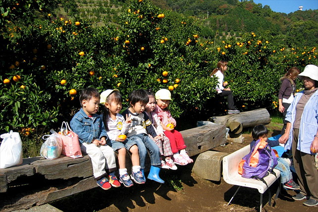 あかざと園の写真1