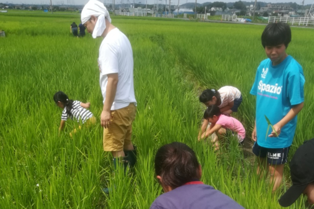 やおきファーマーズクラブの写真1