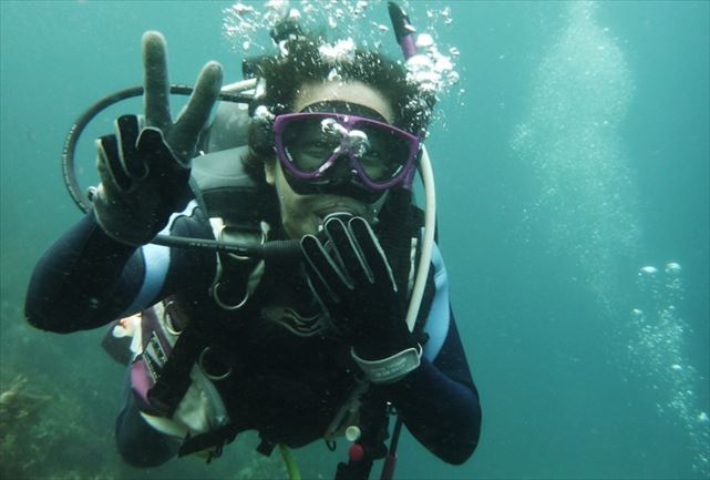 Peace Dolphinの写真1