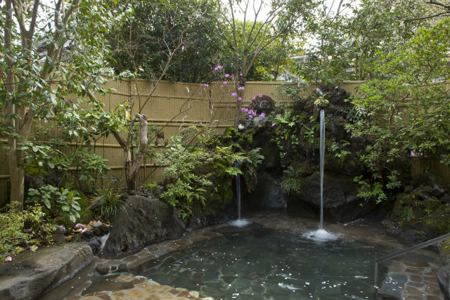 厚木飯山温泉 元湯旅館の写真1