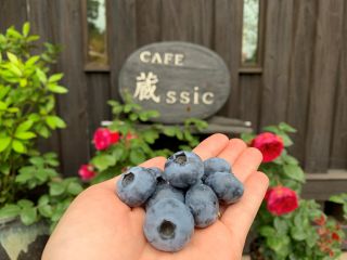 ブルーベリーハウス気仙沼の写真1