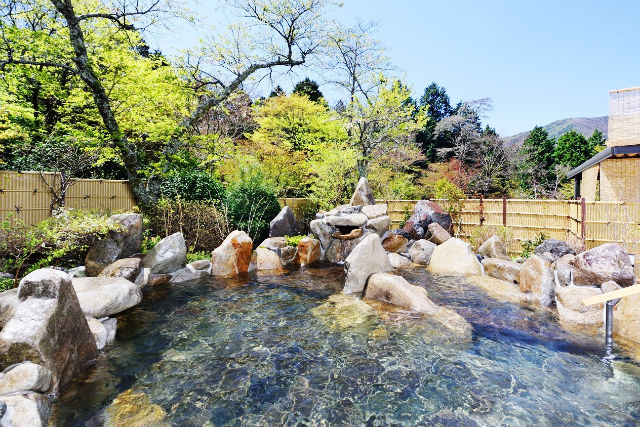 箱根高原ホテルの写真1