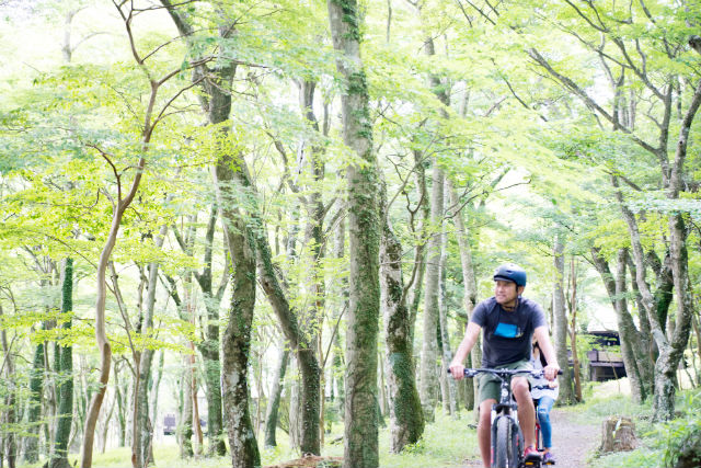 Hakone Mountain Ripperの写真1