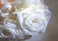 フェアリーハート湘南鎌倉