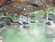 火の山温泉 どんどこ湯