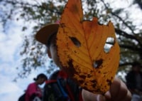 特定非営利活動法人 あかぎの森のようちえん