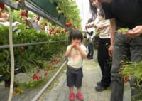 アクアロマン　いちご駒ケ根園