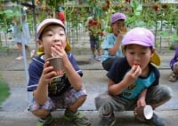 アクアロマン　いちご中川園