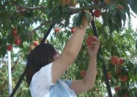 フルーツランド北会津