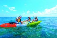 やんばるエコフィールド島風