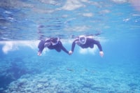 ギルドアワード